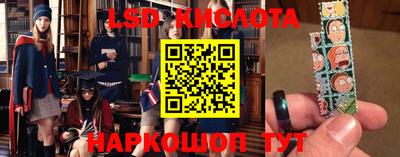 гидропоника Кингисепп