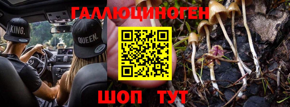 Галлюциногенные грибы мухоморы Куйбышев